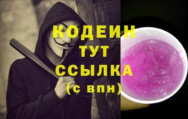 сатива Вязьма