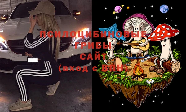 первитин Горняк