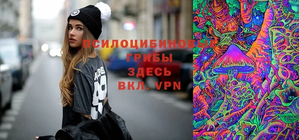 сатива Вязьма
